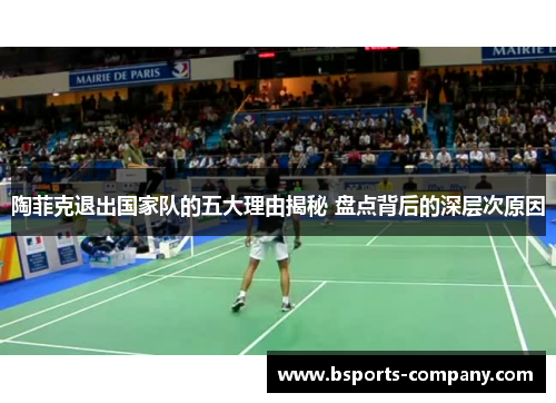 陶菲克退出国家队的五大理由揭秘 盘点背后的深层次原因