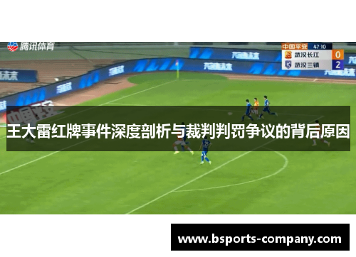 王大雷红牌事件深度剖析与裁判判罚争议的背后原因