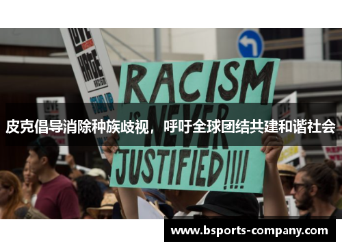 皮克倡导消除种族歧视，呼吁全球团结共建和谐社会