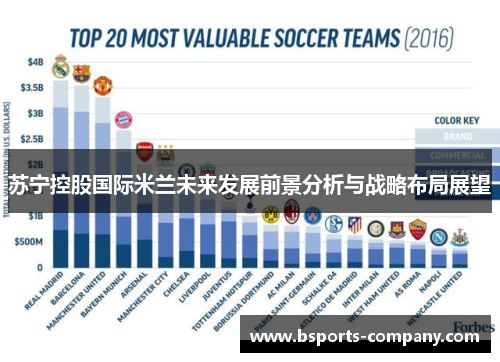 苏宁控股国际米兰未来发展前景分析与战略布局展望