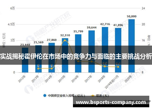 实战揭秘霍伊伦在市场中的竞争力与面临的主要挑战分析