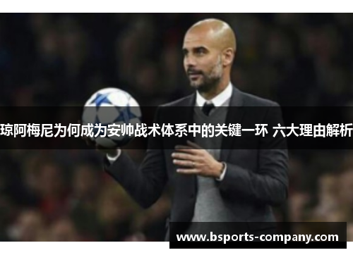 琼阿梅尼为何成为安帅战术体系中的关键一环 六大理由解析