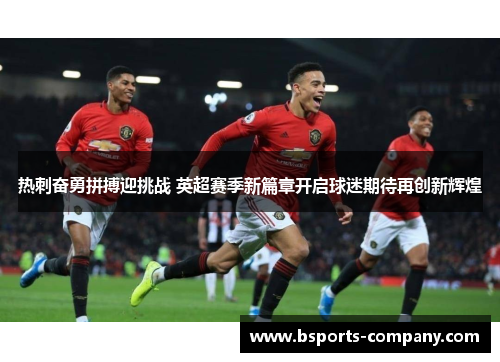 热刺奋勇拼搏迎挑战 英超赛季新篇章开启球迷期待再创新辉煌