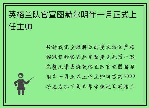 英格兰队官宣图赫尔明年一月正式上任主帅